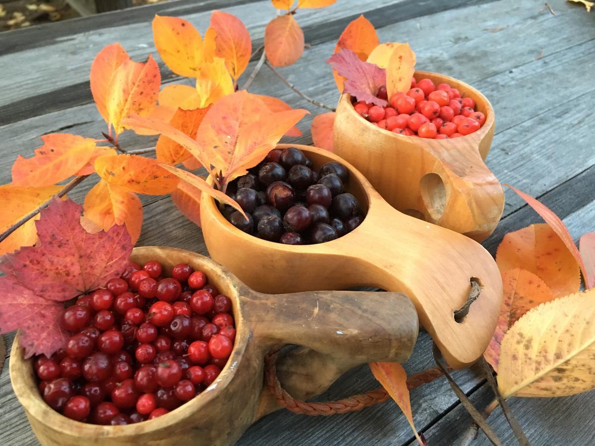 B&B Pinus Mäntyharju Екстериор снимка